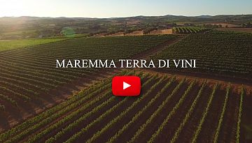 MAREMMA ❤️ TERRA DI VINI - Maremma Toscana